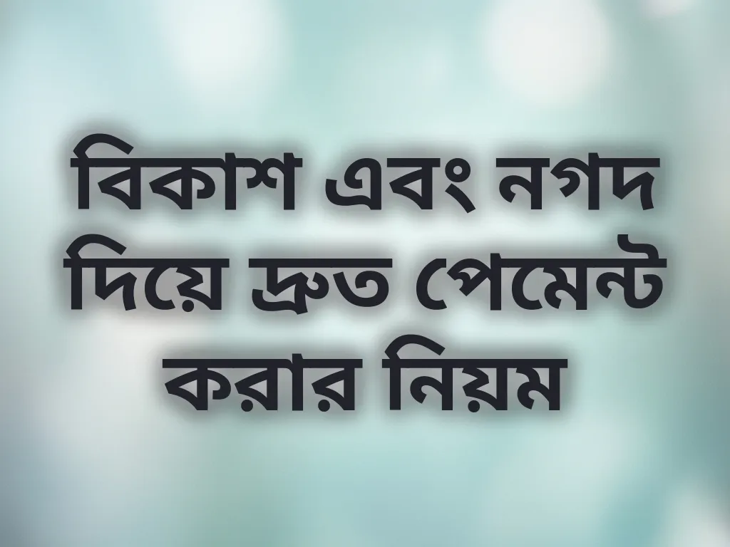 পেমেন্ট গাইড